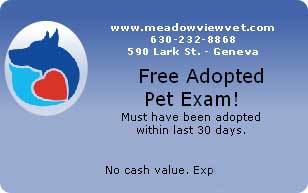 Free Adopted Pet Exam