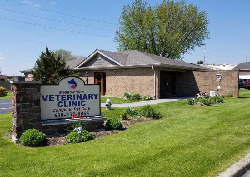 About Meadow View Veterinary Clinic
